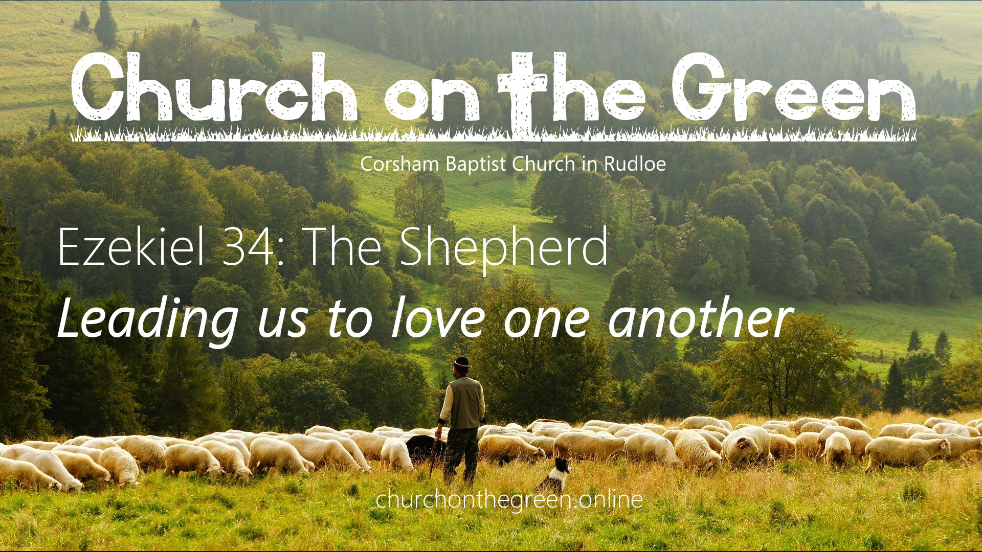 Ezekiel 34: The Shepherd – leading us to love one another